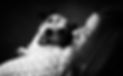 LS1_8956_pp_edited.jpg