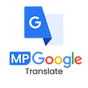 Google Translate icon