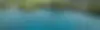 12563.jpg.webp