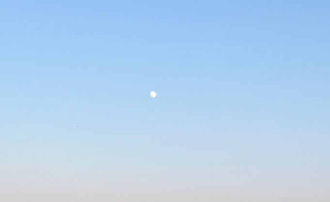 IMG_5115_edited.jpg
