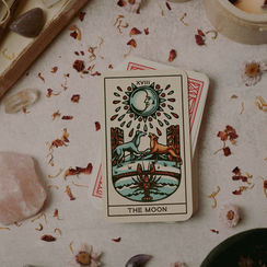 Välkommen till min Blogg: Första Inlägget 