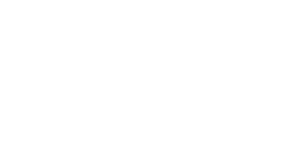 logo liquidz