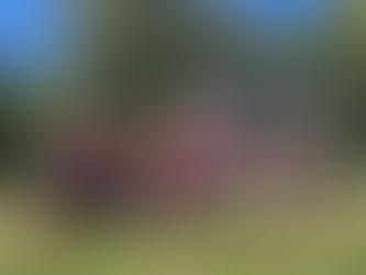 2025 un año virtuoso para nuestro Centro de Dharma