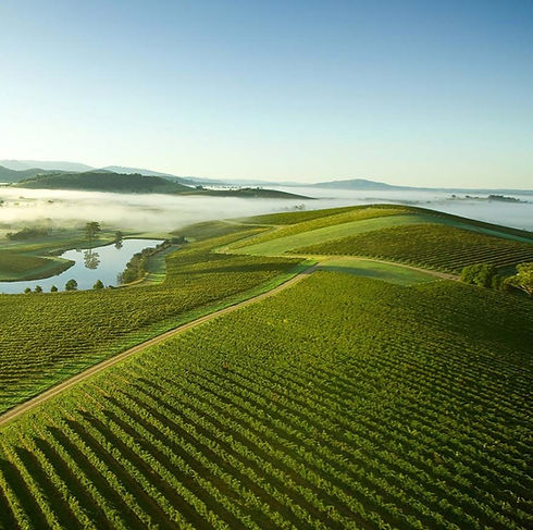 hot-air-balloon-over-yarra-valley_yvdr_r