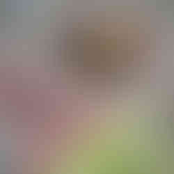 Sur la bâche : les grandes périodes historiques