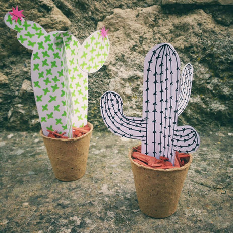 Atelier cactus à Puymirol pour le Zebraco