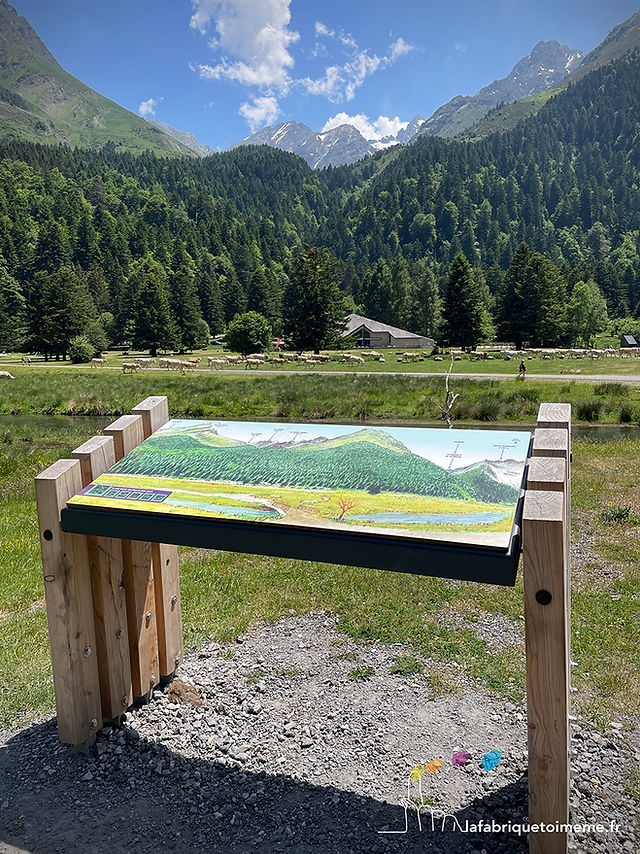 Autour de lac les troupeaux en liberté cohabitent avec les touristes.