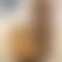 MODULE DE MÉDIATION SENSORIELLE SUR L'ESTAMPE