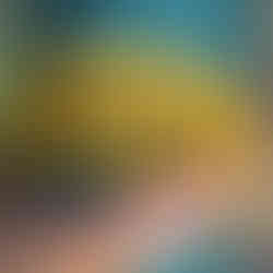 Un sac de transport imperméable et personnalisé