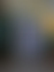 CARMEN À EMPORTER ! Une mallette multi-sensorielle inclusive pour l’Opéra Comique