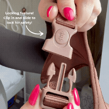 Thumbnail: Cocopup London: Explore Harness - Nakd Liquorice