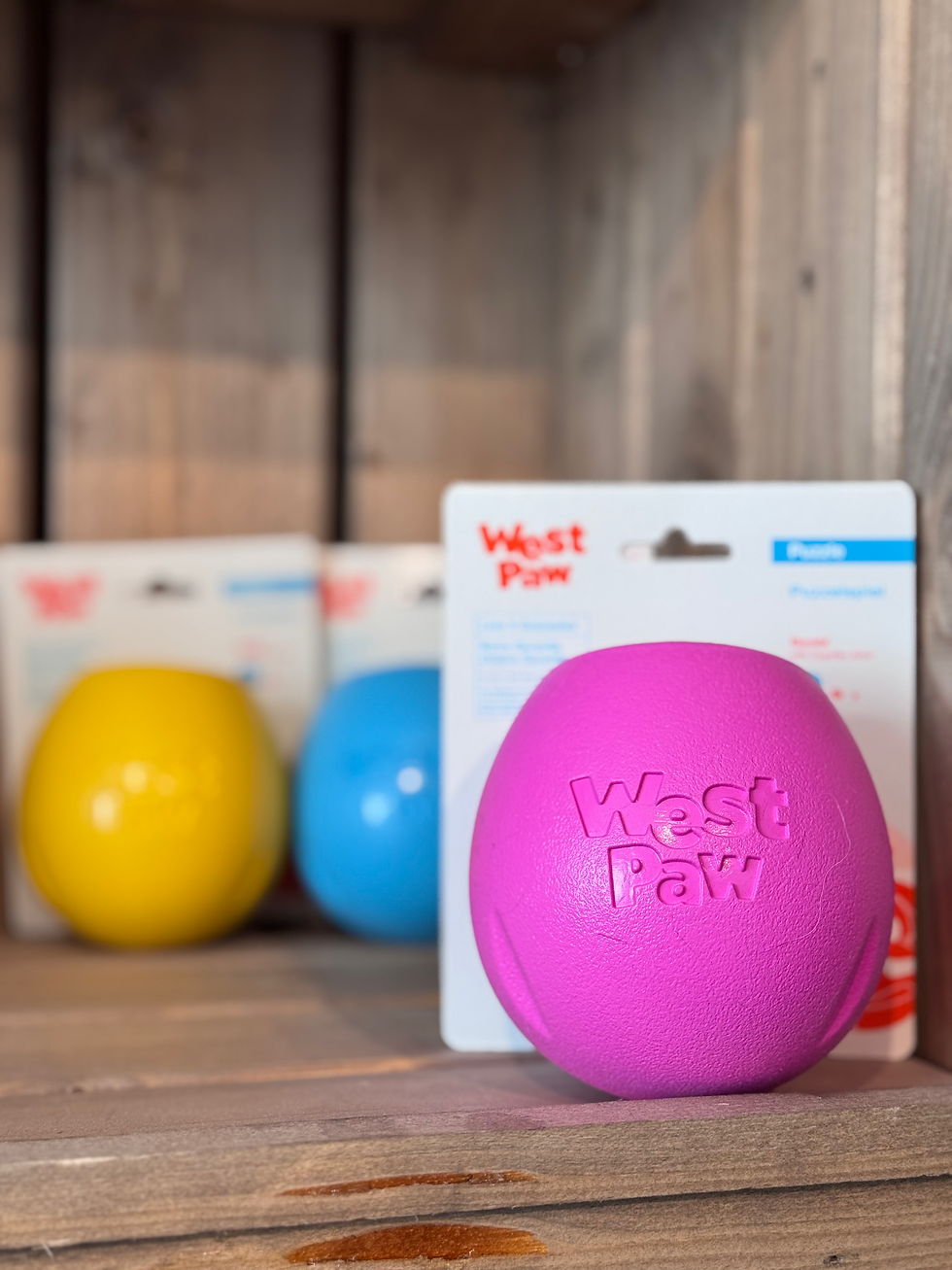 Thumbnail: West Paw: Zogoflex Rumbl