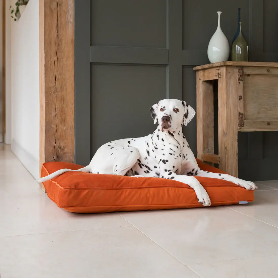 Lords & Labradors: Cushion Bed in Pumpkin Velvet