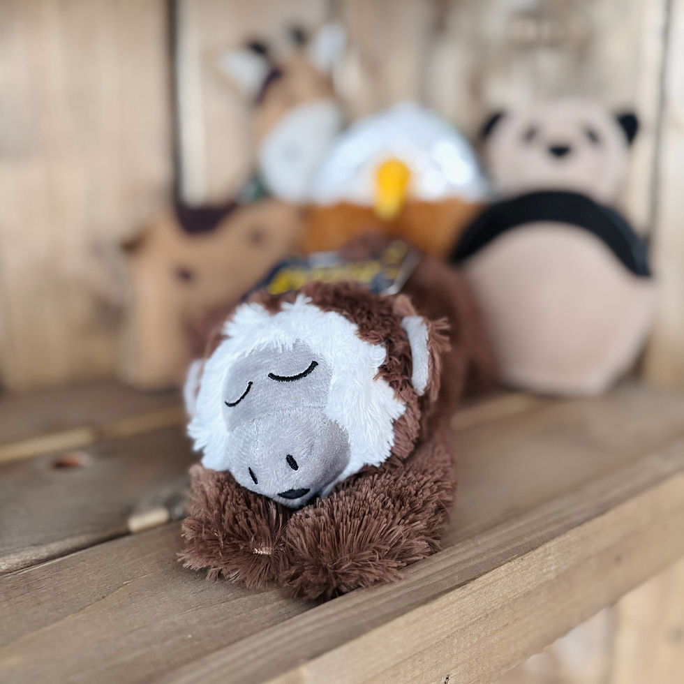Great&Small Sleepy Stars Monkey Rope (23cm)