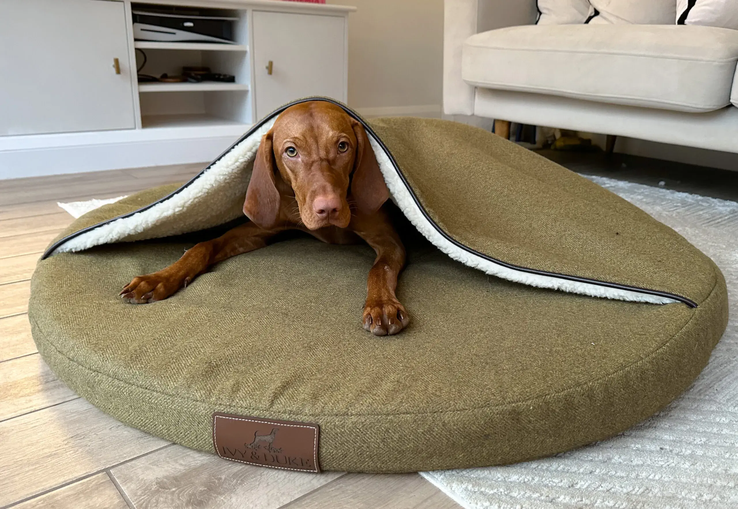 Ivy & Duke: The Hideaway (Brown Bark)