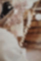 MH146.jpg