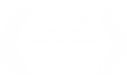 World Media Festival Berlin - INTERMEDIA GOLD Category URBAN - 2025.png