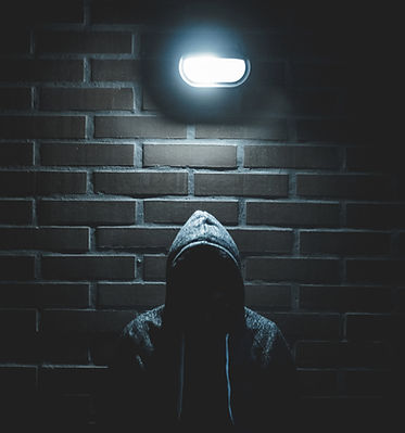 luis-villasmil-S2qA7JhjI6Y-unsplash_edited.jpg