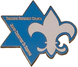 Theodore Roosevelt Council pin