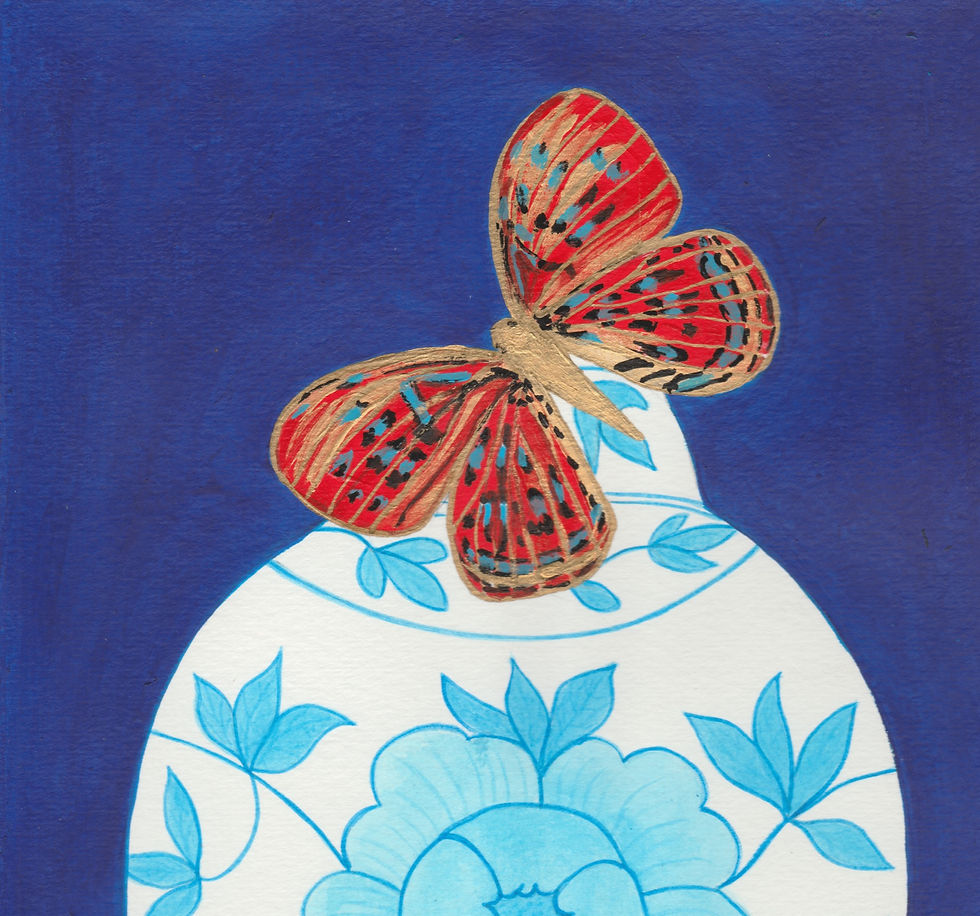 Blue and White Harlequin Butterfly