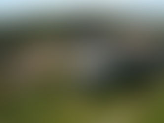 Les ordres militaires du Temple et de l’Hôpital