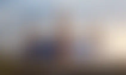 Birmingham: The Underdog With a New Bite