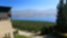 Okanagan Valley Vineyards
