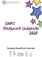 Wellbeing Challenge.png