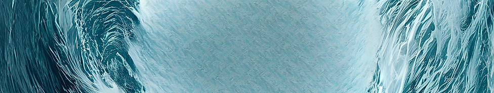 About the Brand | Sharks Are Born Swimming