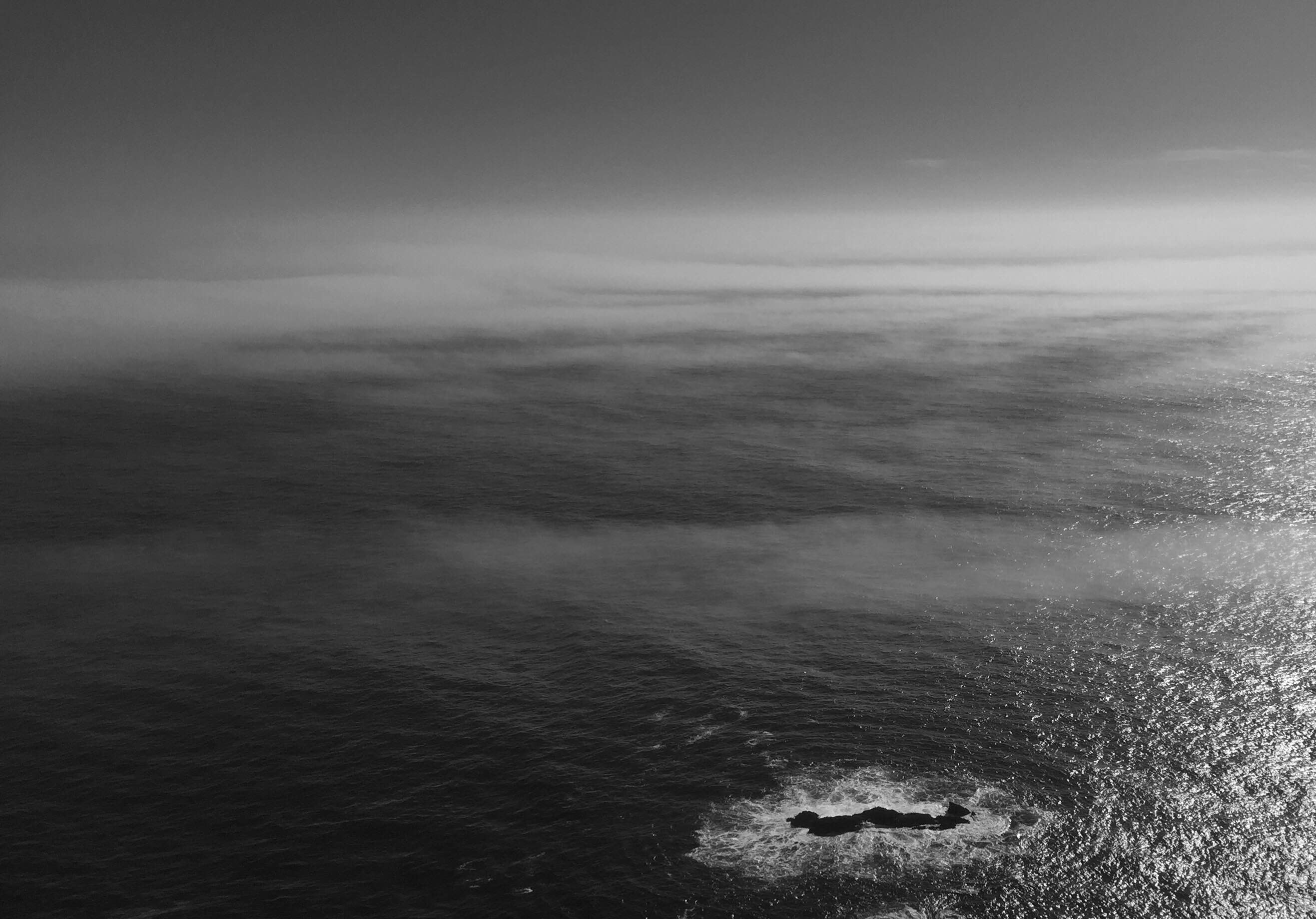 Ocean Moustache