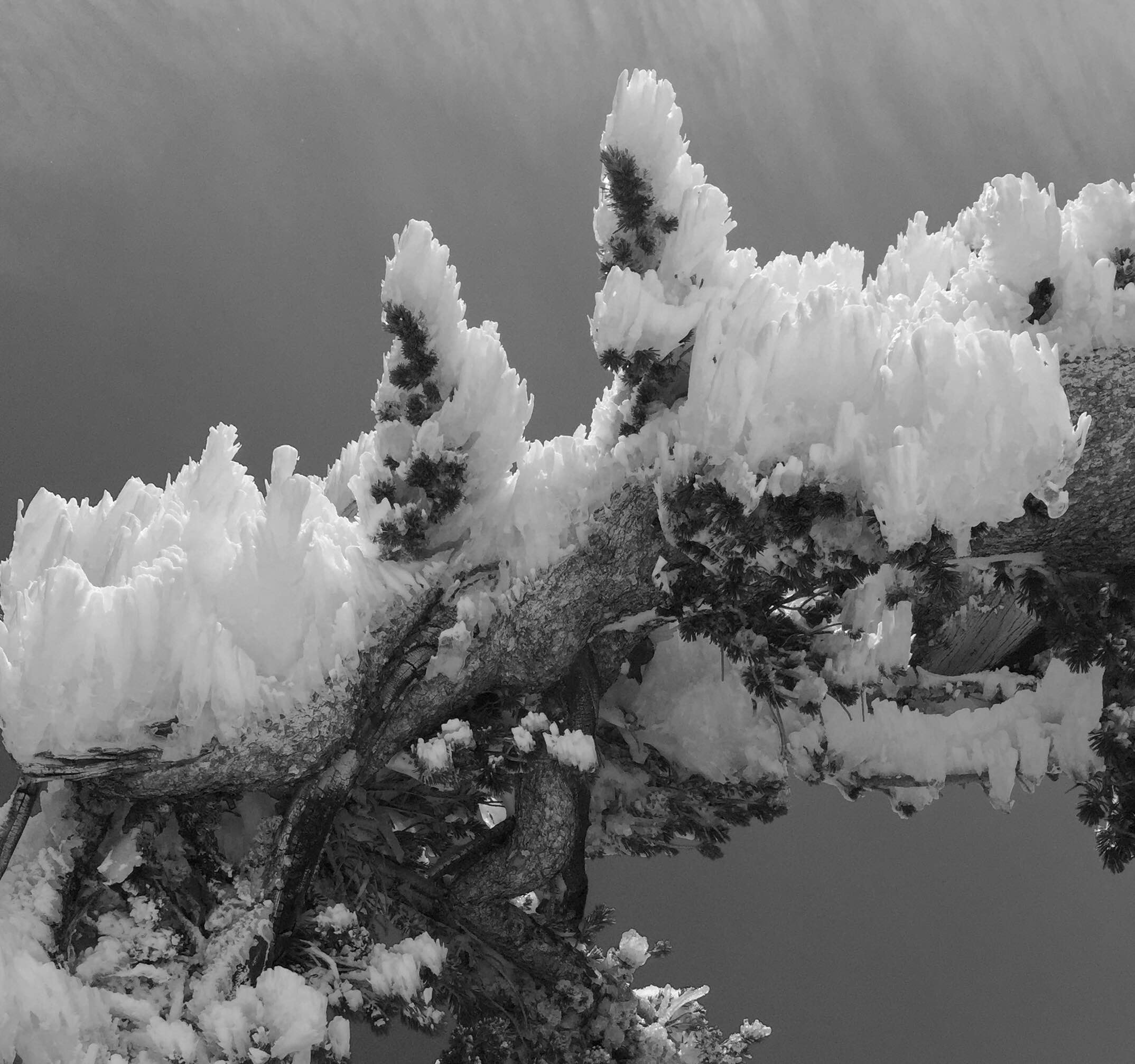 Ice Pikes