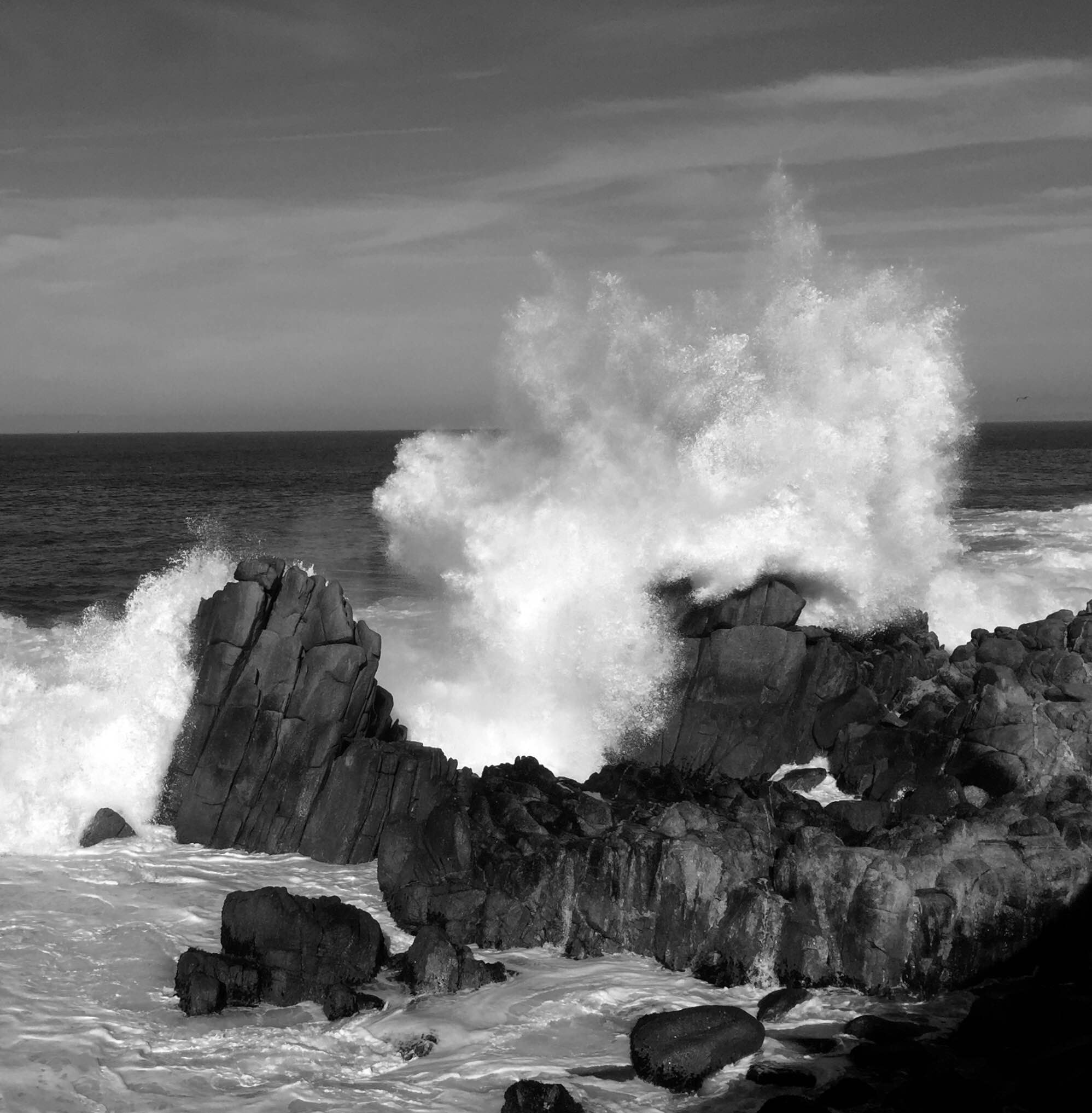 Lovers Splash