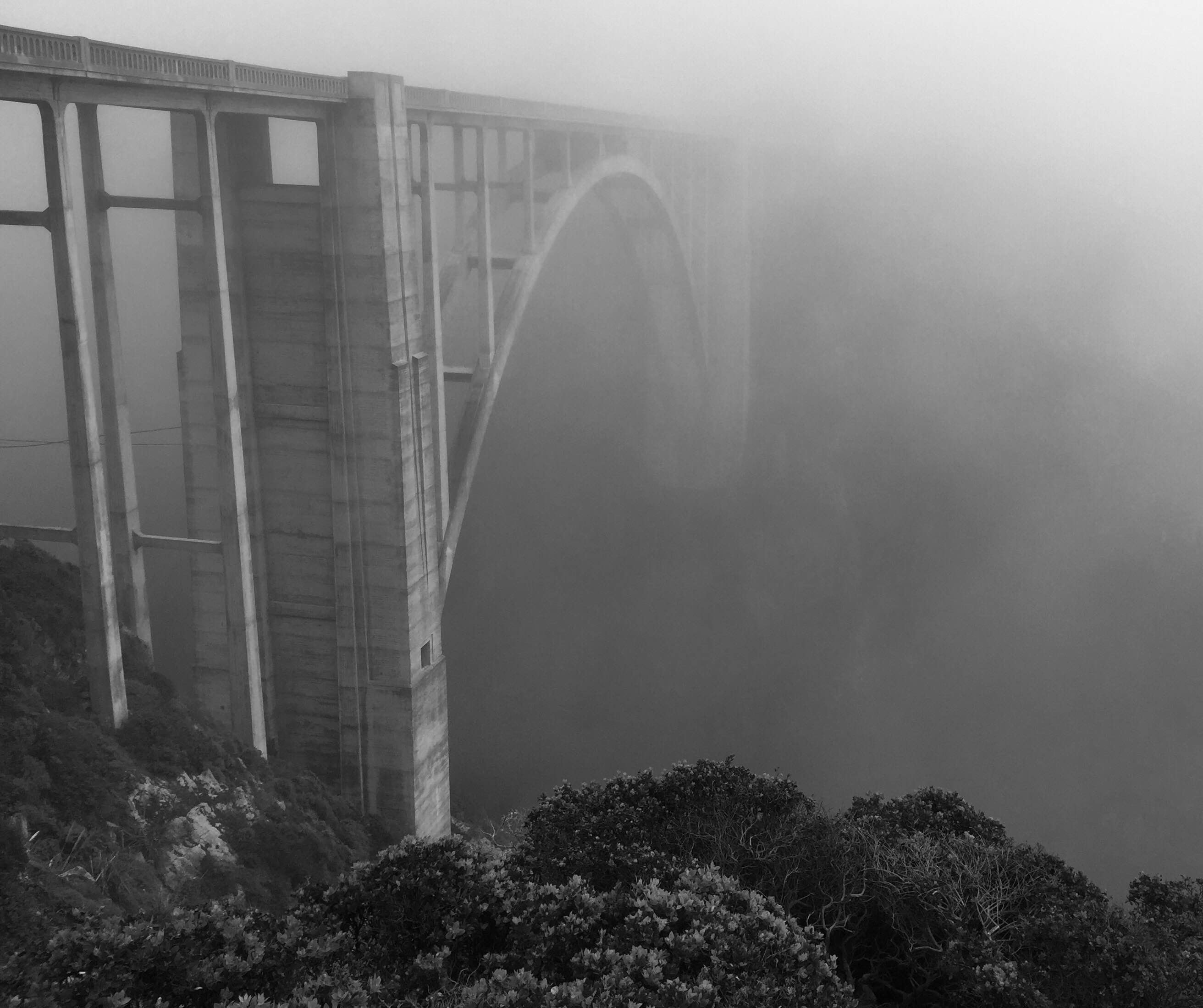 Foggy Bixby