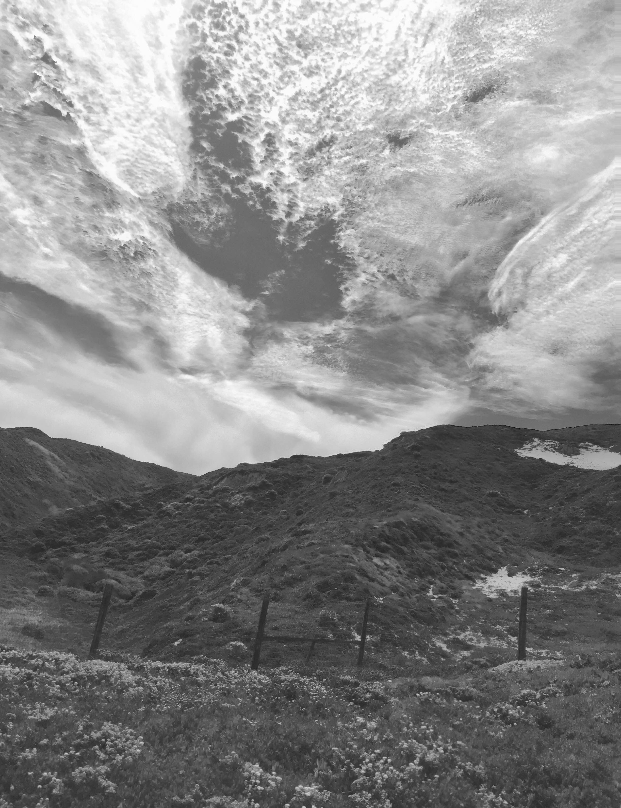 Big Sur Washed Skies