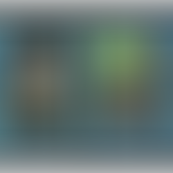 Vellum->Paper in the Middle Ages