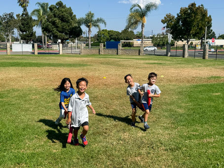 Montessori Kindergarten in Modern Education