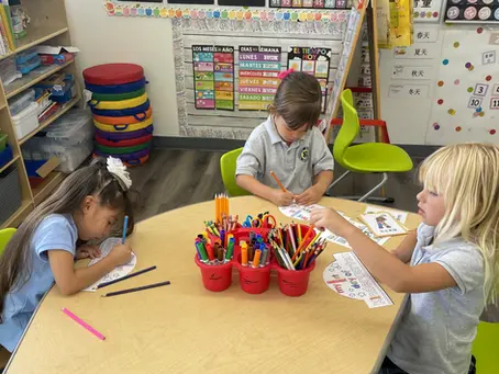 Private Kindergarten Curriculum: What to Expect?