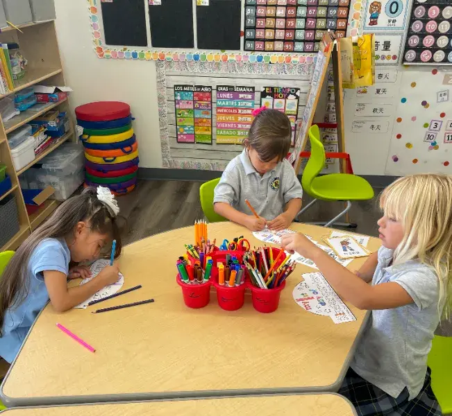 TK Programs Near Me: Public and Private Differences