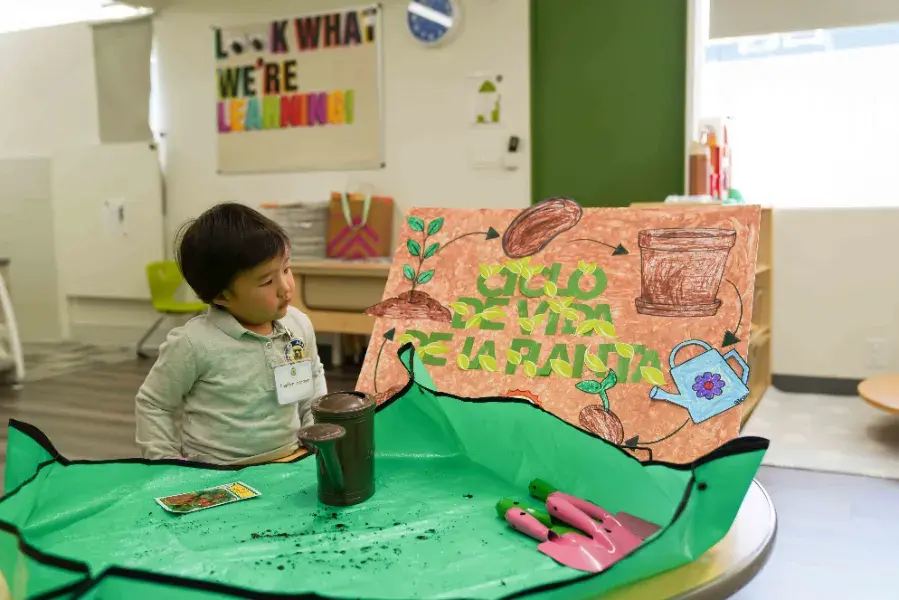 Child looks at plant lifecycle poster on a classroom table, surrounded by planting tools. Bright learning environment, sign reads "Look What We’re Learning!"