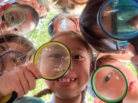 Experiential Curriculum: Why Learning by Doing Works