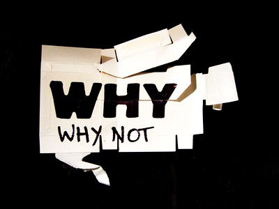 The power of why in English essays