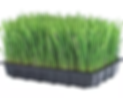 s-l640 (1).webp