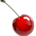 Shiny Red Cherry