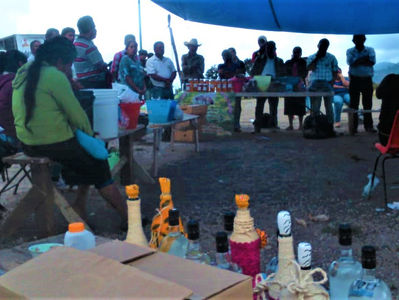 La fruticultura en La Montaña de Guerrero