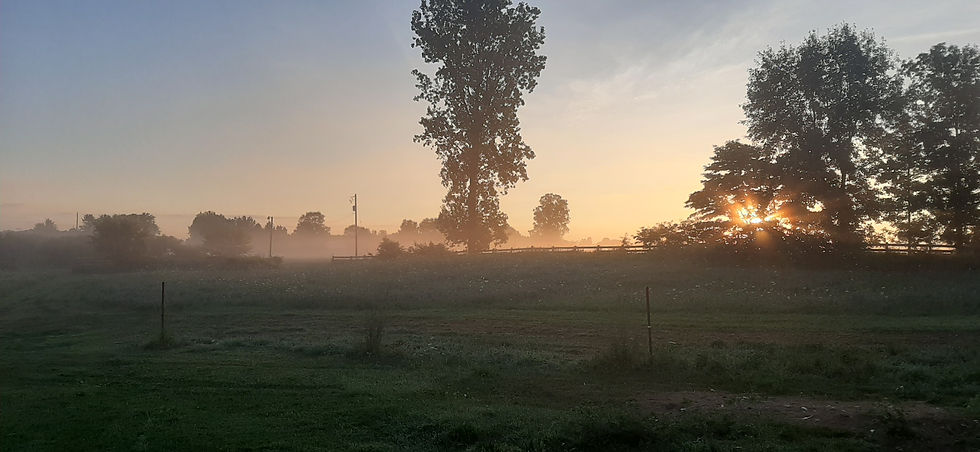 20200725_064409.jpg