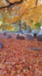 ree