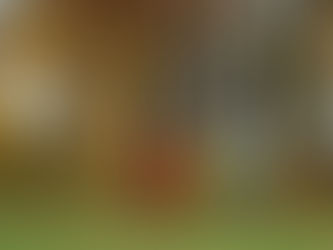 Vill du lära dig stå på händer?