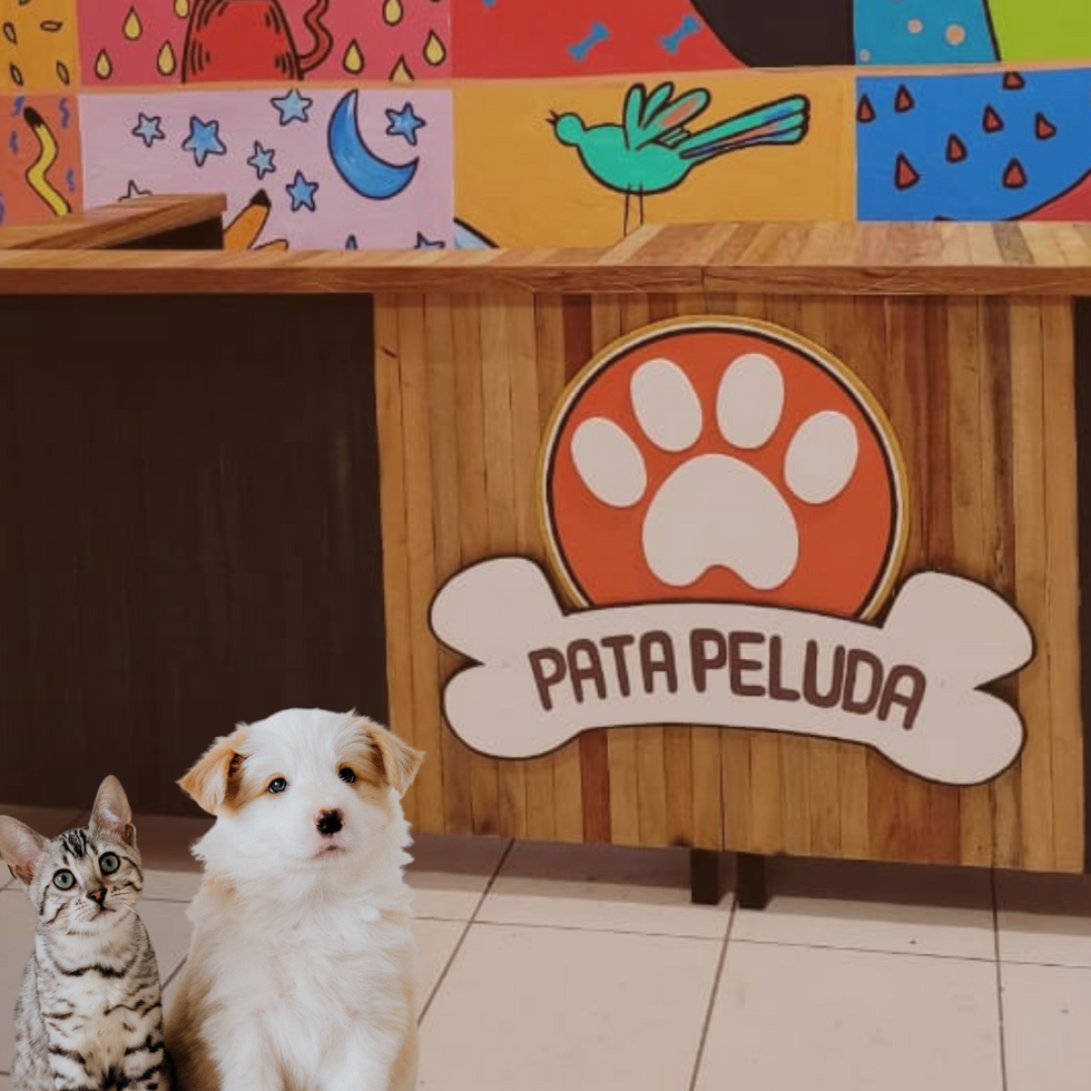 Pata peluda