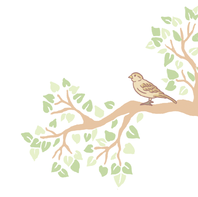 10-mq-main(sparrow).gif