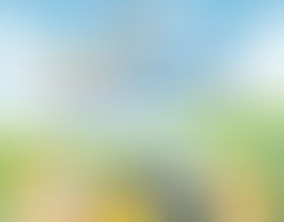 CÔNG TY CỔ PHẦN BELEM GROUP